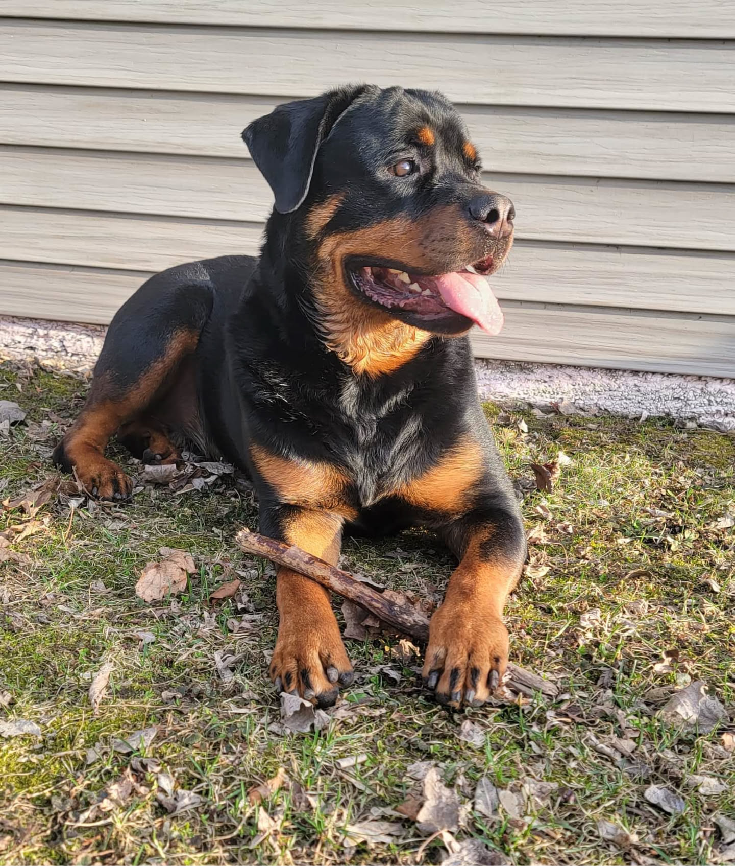 Titan 'Bubb' The Legend